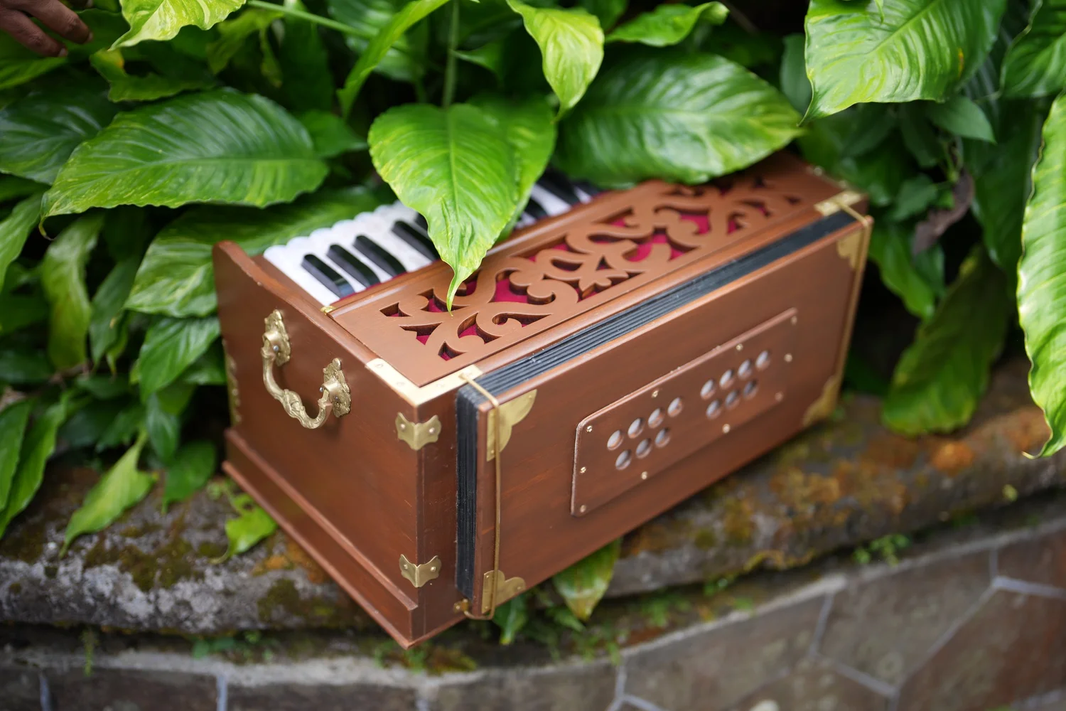 Just Prem “Terra” (32 keys) view 8
